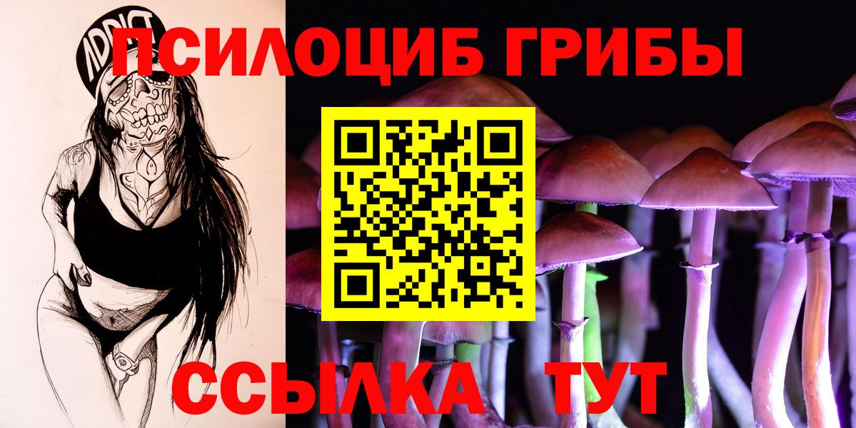 Псилоцибиновые грибы прущие грибы Сердобск
