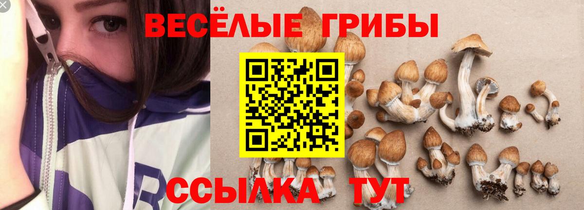 Псилоцибиновые грибы Magic Shrooms  Вход с VPN  Сердобск  Галлюциногенные грибы прущие грибы 